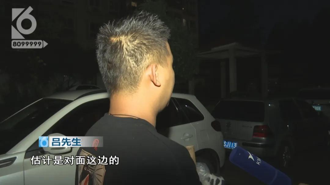 “铁疙瘩射入体内十几厘米”独自下楼的宠物狗究竟遭遇了什么？