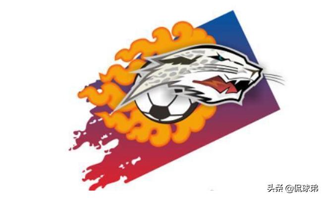 中乙拉萨城投队现状,中乙拉萨城投足球俱乐部