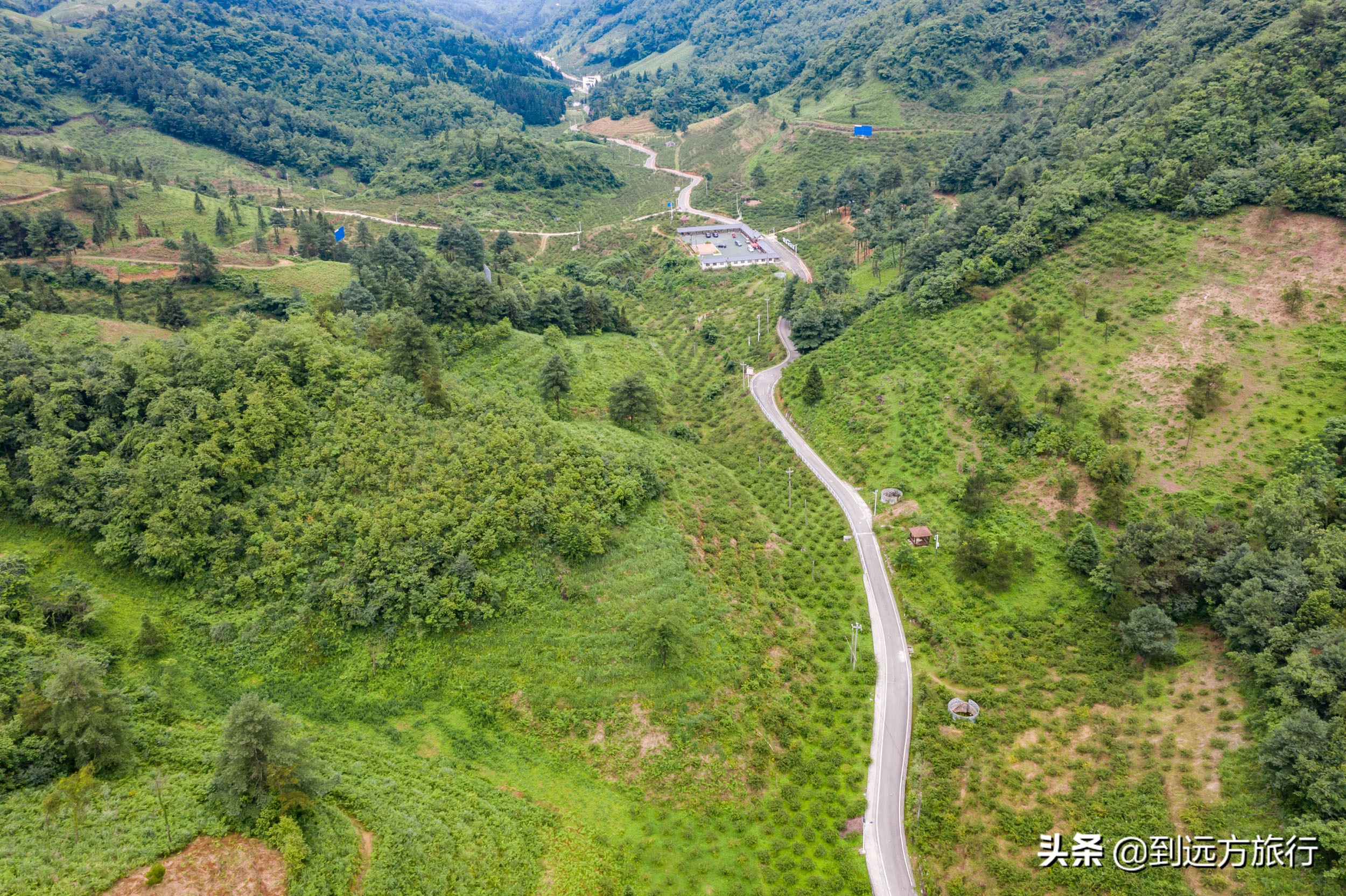 贵州的“香格里拉”，满山都是“黄金果”，不收门票免费玩