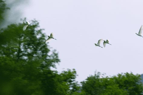 疫情结束房子会降价吗,疫情结束后又发生了什么事