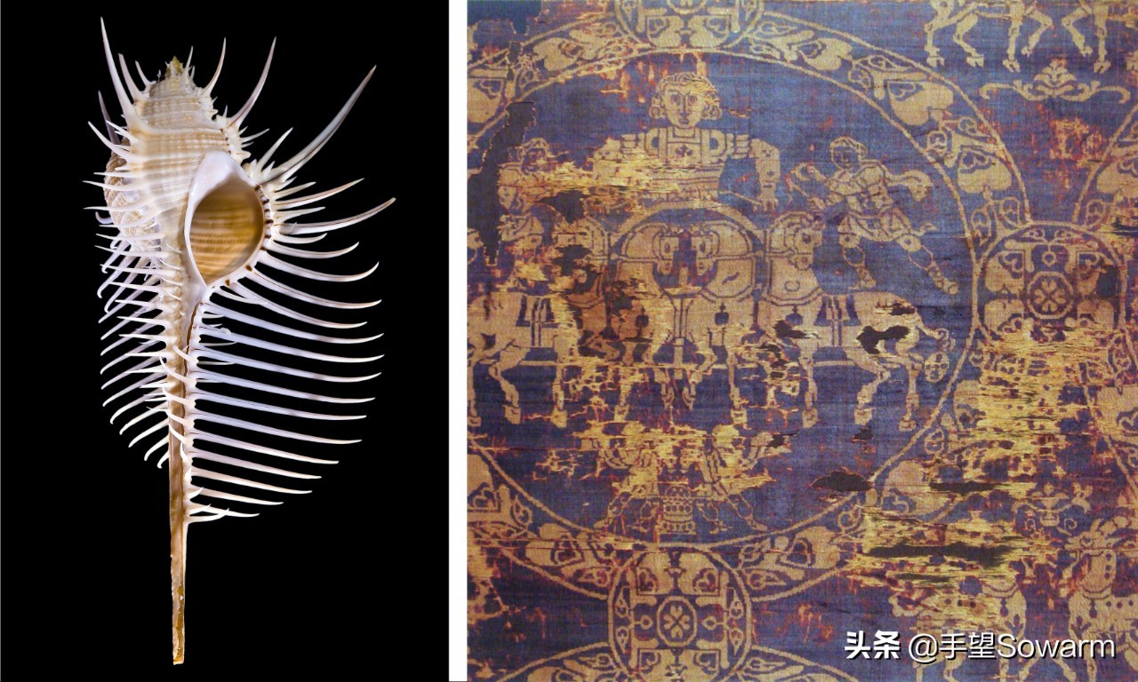 梵高和蒙娜丽莎的故事,梵高拿破仑