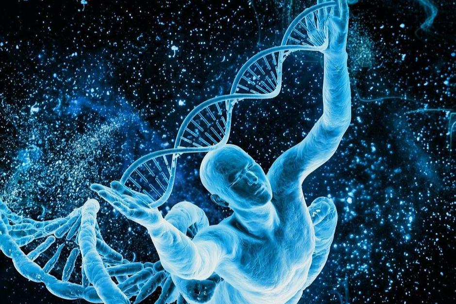 念珠菌病的病原及症状如何医治,念珠菌病最常见的感染部位