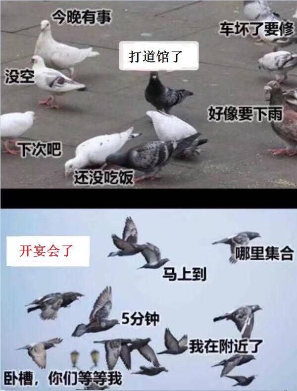 阴阳师表情包系列第281期,阴阳师表情包我身体很好