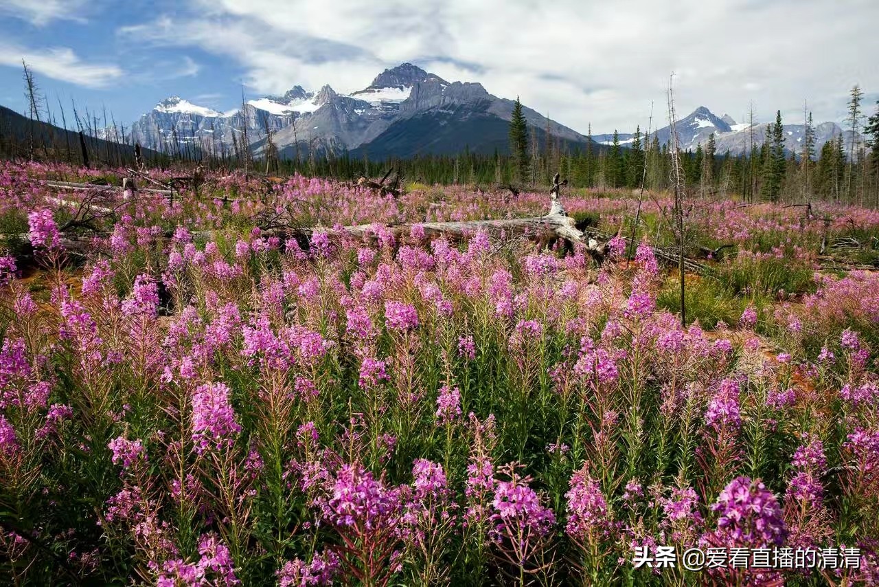热水器溢水管防反水有用吗,热水器水养鱼行吗
