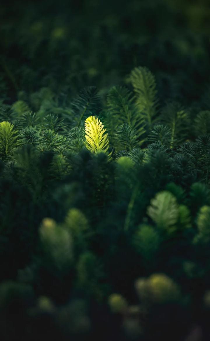 拍照前都需要测光吗,先对焦还是先测光好