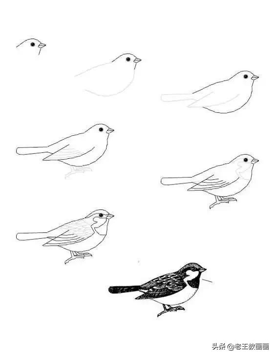 画开心的喜羊羊简笔画3秒学会,幼儿园简笔画小燕子3秒学会