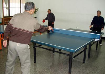 乒乓球的说说,说说德国队