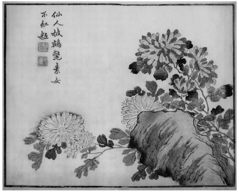 国画菊花的简单画法步骤图片,国画入门零基础自学画菊花