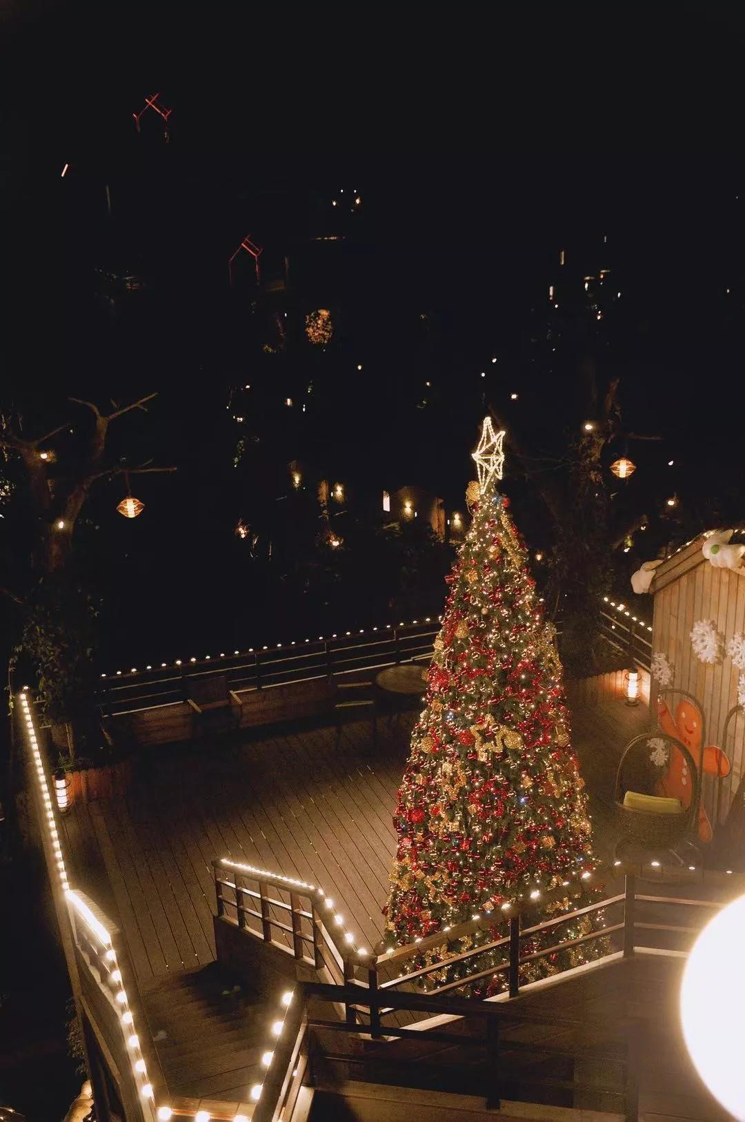 浪漫树屋、奇妙酒店、恒温水乐园...去江浙沪Top酒店跨个30℃的年