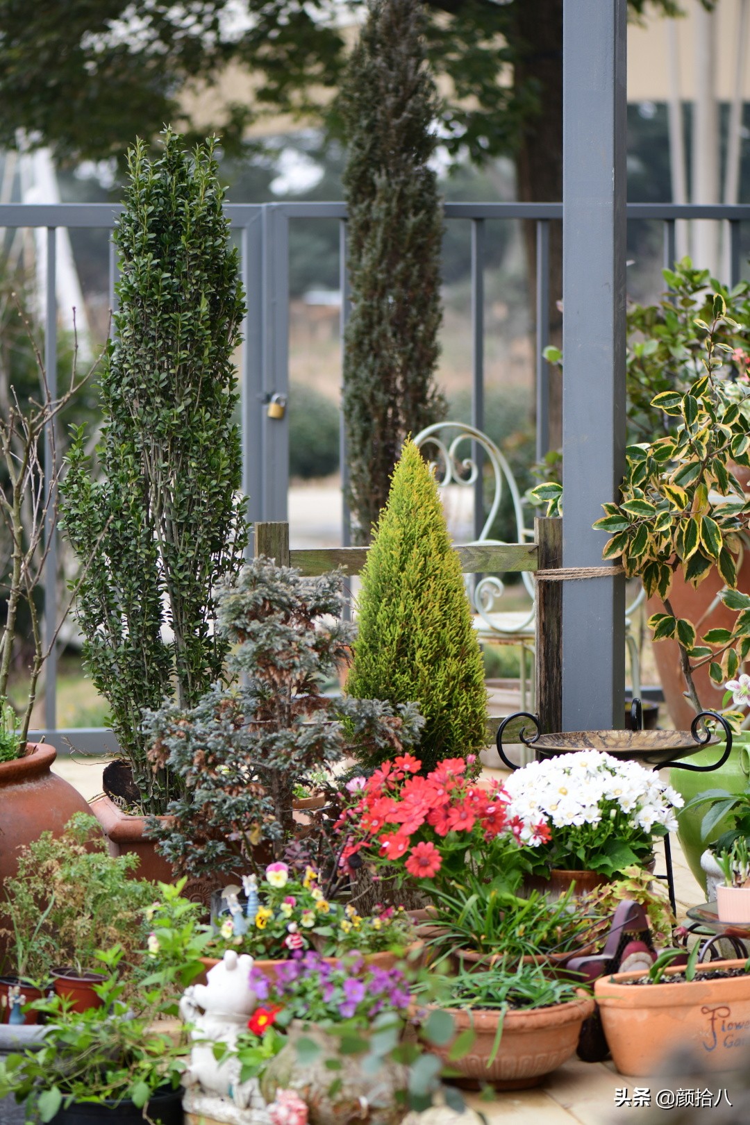 就趁现在，花园最忙碌的季节|园丁