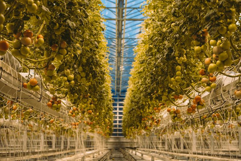 飘雪的季节,你要来一次冰岛(附冬季环游攻略)