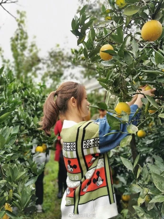 成都哪个学校是4a级景区,四川成都5a级景区学校