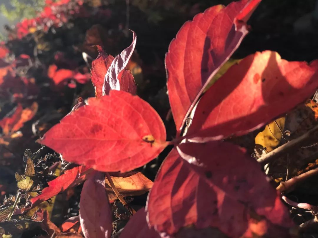 高僧开悟了如何修行,成为有福之人的秘诀