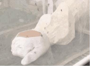 小孩被蚊子叮咬驱蚊产品,宝宝老是被蚊子咬有什么驱蚊方法