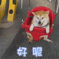 不科学！为什么吃播网红又仙又瘦？