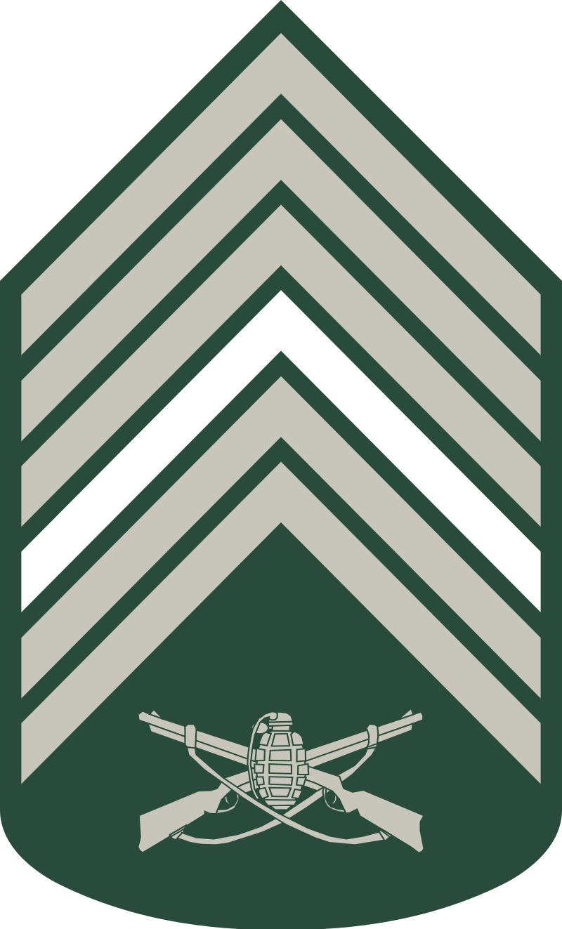 巴西军队标志,巴西海军军衔