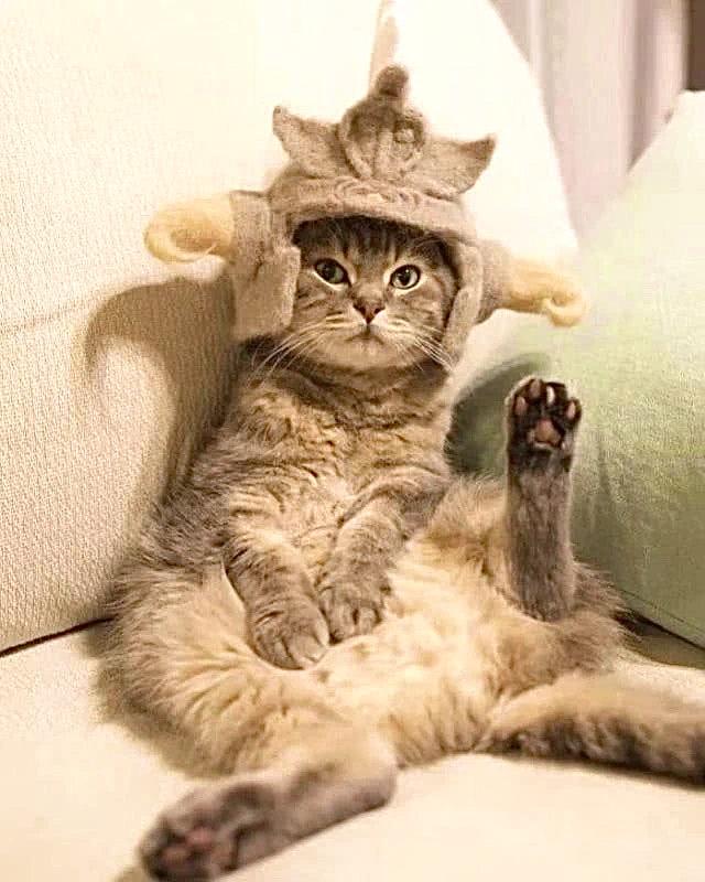 qq被冻结了这个号是不是没用,为什么一觉醒来发现qq被冻结了