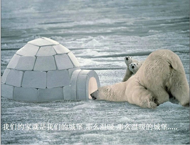 我只想说声爱你,只想再爱你一次