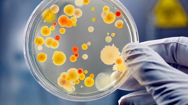 女性用什么精油好呢,女性用什么精油美容最好