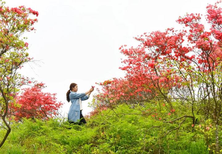 72条自驾游路线推荐,诗与远方的房车自驾游