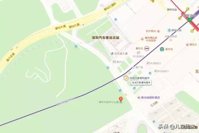 深圳中心公园足球场,深圳中心公园大草坪