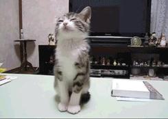 用心学习感觉难受怎么回事,用心教育考研复试课程