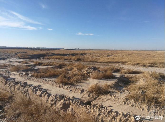 吉林白城自然灾害,吉林破坏生态环境案件