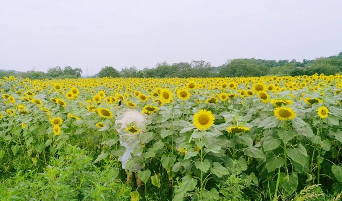 长沙周边比较小众的旅游景点,长沙人最喜欢去的十大景点排名