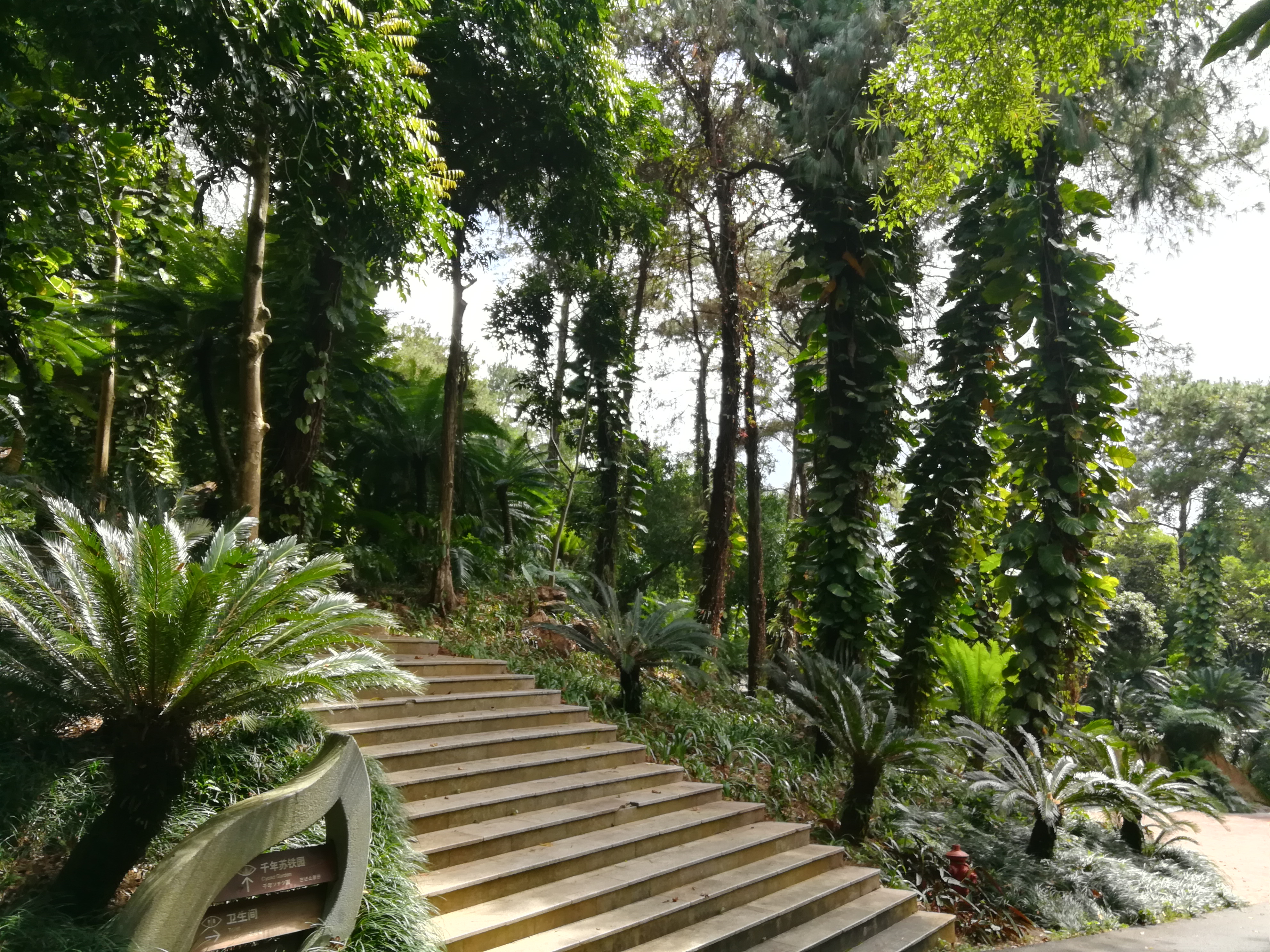 青秀山奇幻之旅,南宁2022奇妙之旅