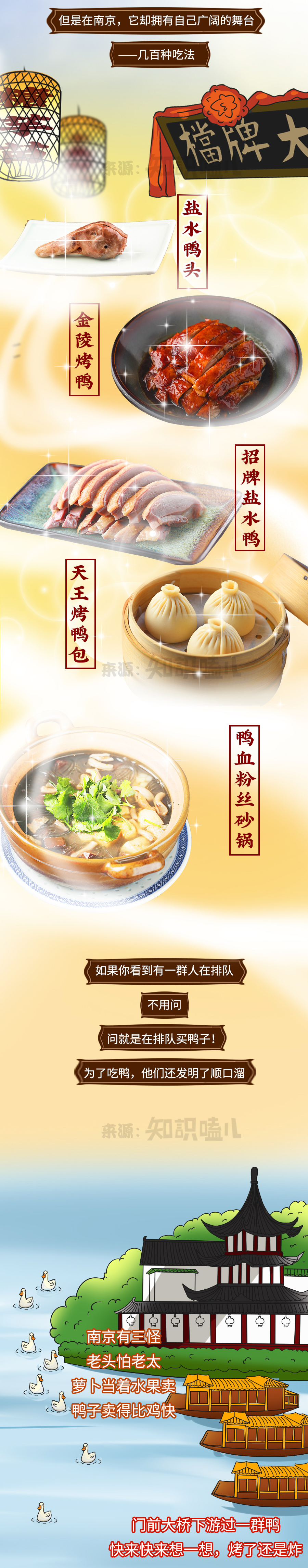 半成品鸭怎么做,教你如何养好鸭