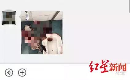 “三下把狗头打碎！”成都疑现虐狗研究生，目前正在调查