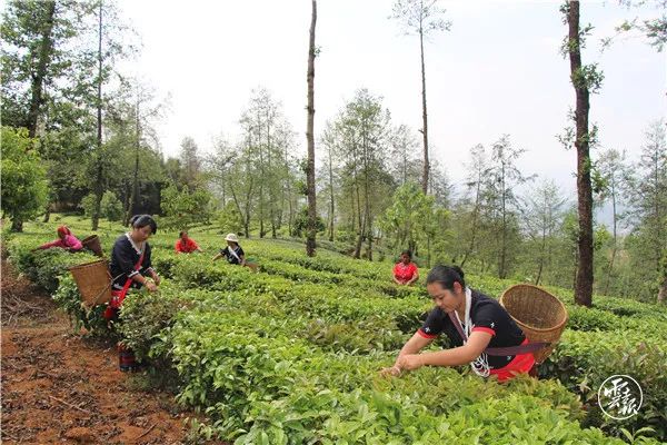 沧源县的风景区有哪些,云南沧源有什么好玩的地方