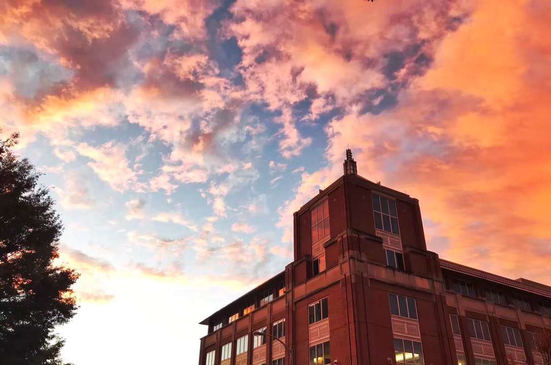 南密西西比大学本科,美国留学生物学专业好吗