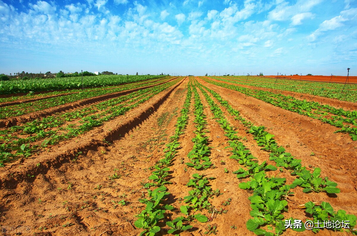 强制执行2万元对方没钱怎么办,农民交二项收费村干部催缴