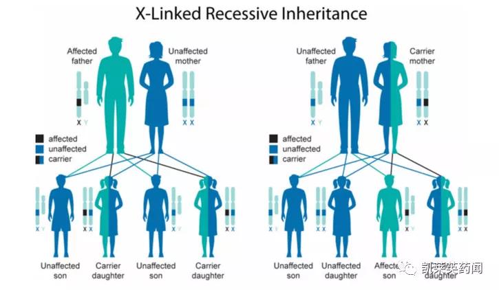 新药巡礼：修复线粒体异常，超罕见病迎来治疗曙光