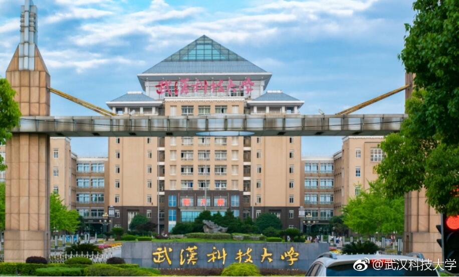 武科大治疗艾滋是真的吗,武汉科大治愈艾滋病的最新突破