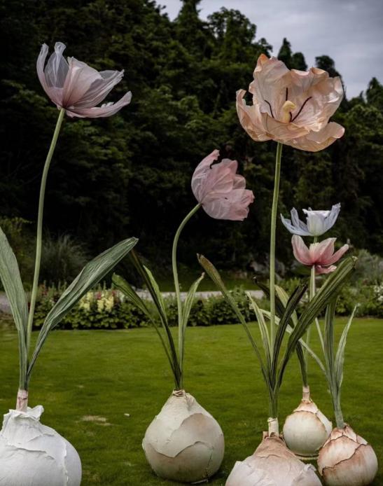 Gogogo品牌正式入驻东钱湖！宁波有望刮起短途游“野趣之风”