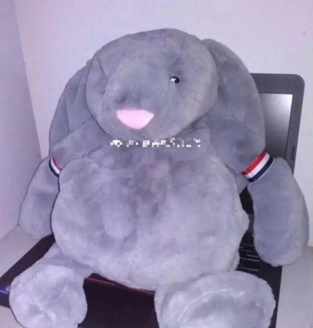 双十一买家秀曝光别急着吃土,双十一之后我受到了买家秀的惊吓