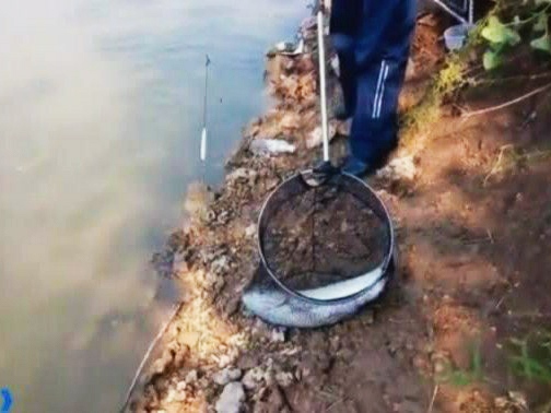 钓鱼遇到的奇葩趣事,钓鱼生涯中遇到的事