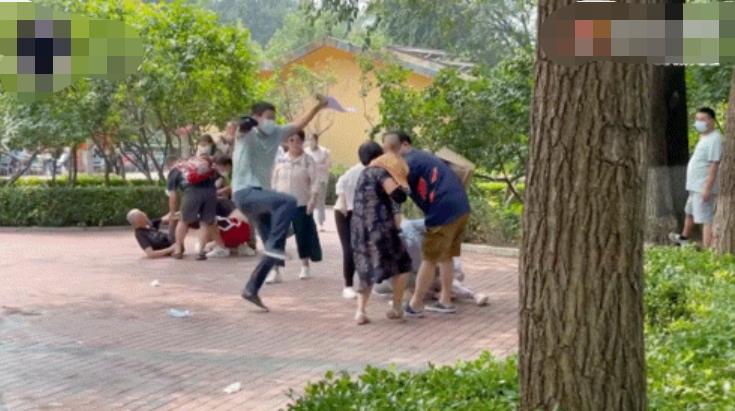 北京动物园打架事件原因是什么,北京动物园两虎打斗