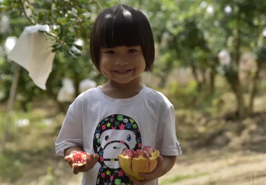 好吃不吐籽的突尼斯软籽石榴来了,被誉为可以吃的雅诗兰黛软籽石榴