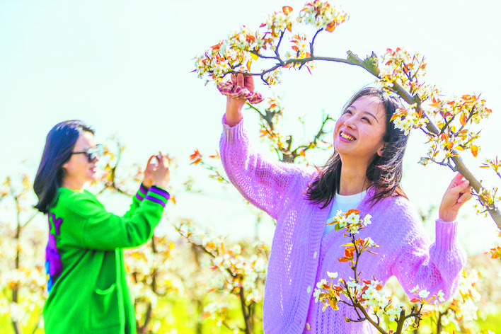 “美丽”的密码，一起去蜀山区小庙镇开启“寻美之旅”