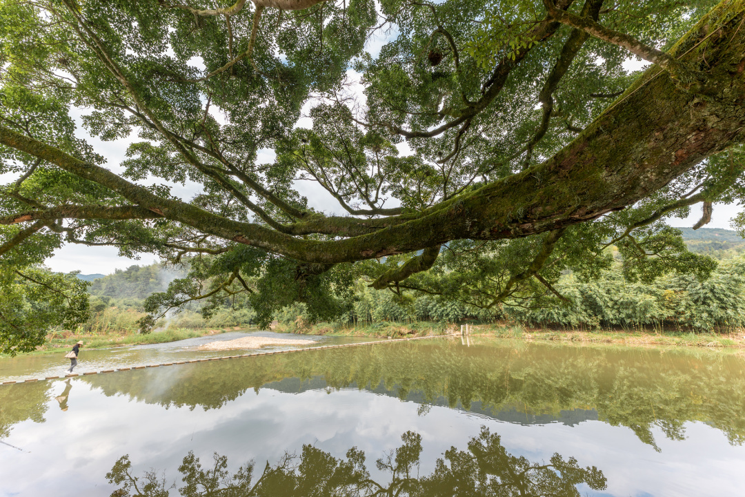 南靖一道美丽的风景线,南靖景区有哪些好玩的