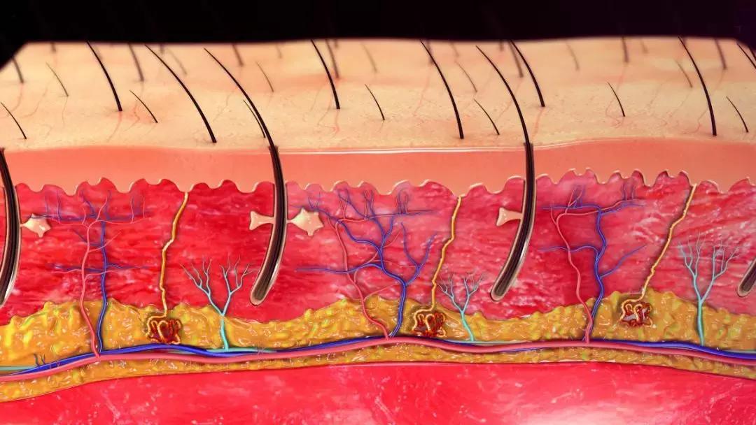夏季小孩能剃光头光脚吗,孩子夏天到底能不能吃冰啊