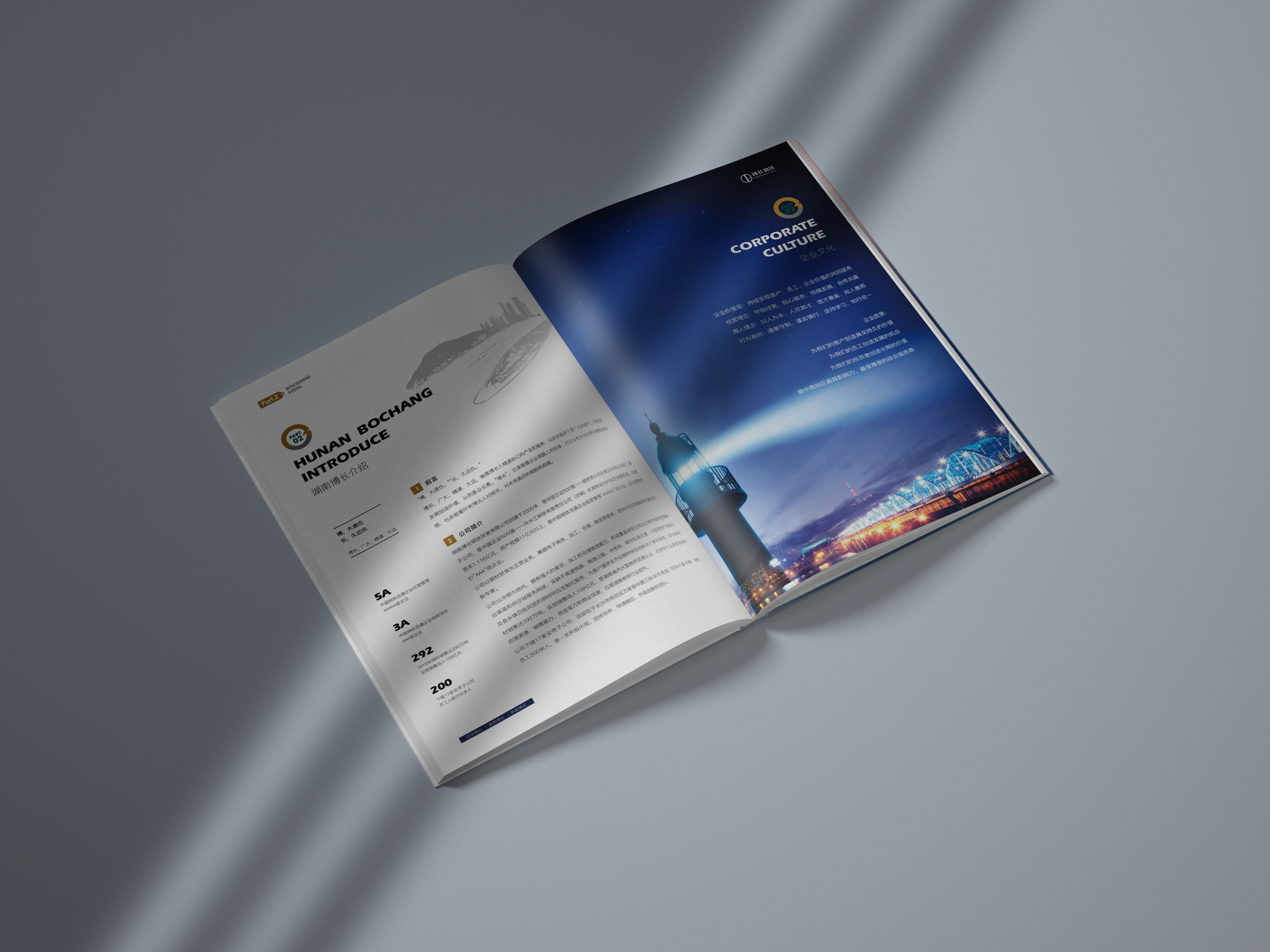 常德博长钢铁贸易有限公司,衡阳博长钢铁贸易有限公司技改