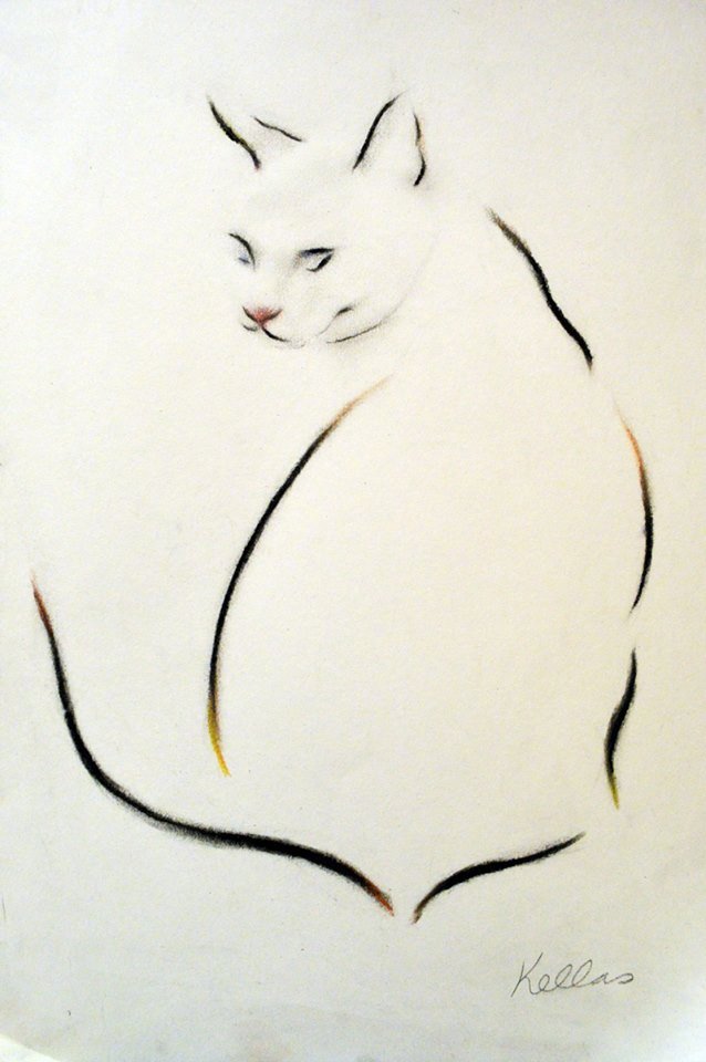 美式复古插画猫,插画猫咪线条