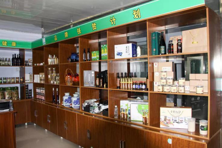 吉林市：一个贫困村的脱贫与“国家级贫困县”靖宇的“摘帽”