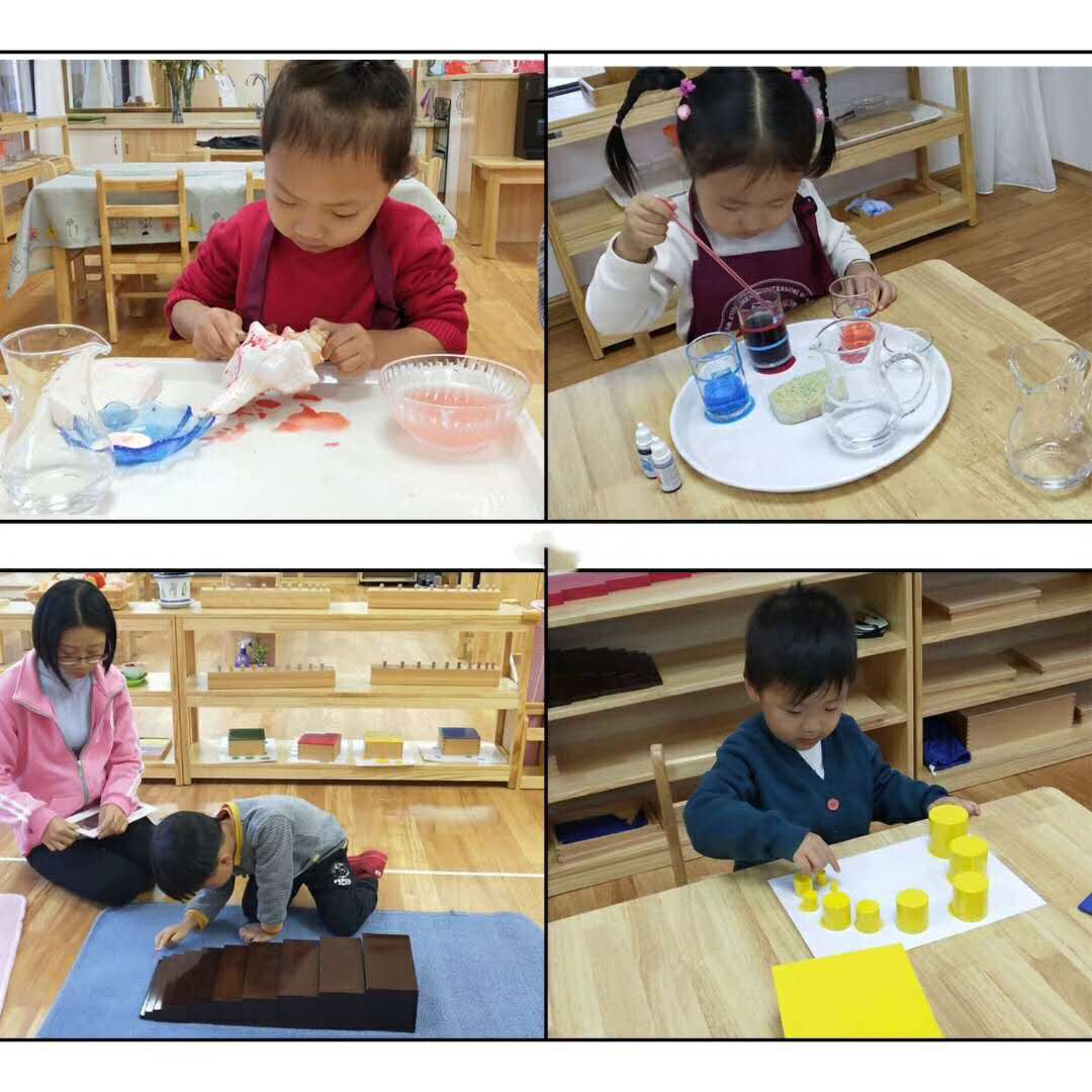 赣州自然树蒙特梭利幼儿园招生,赣州立德自然树蒙特梭利幼儿园