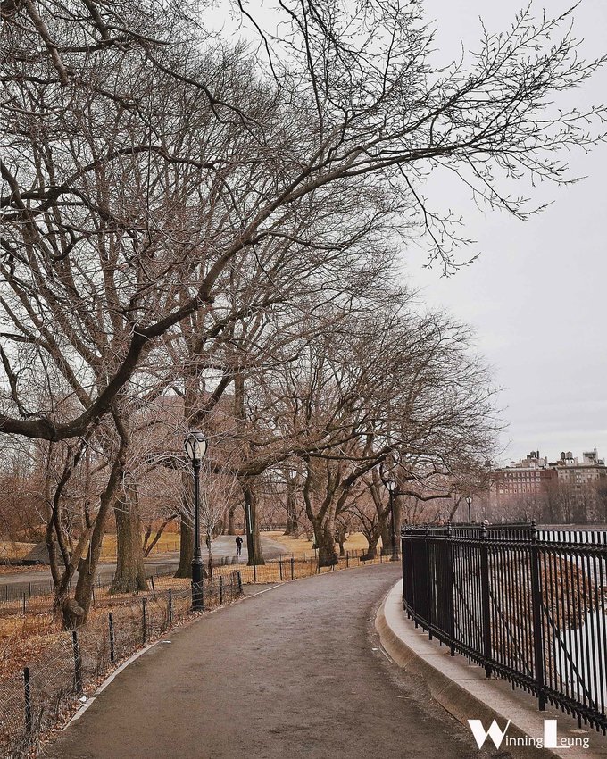 纽约中央公园世界奇迹,纽约中央公园浦东世纪公园