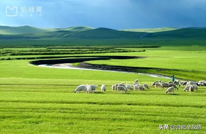 合肥出发的低价机票,目前合肥飞哪里机票最便宜